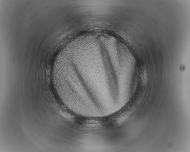 X0000089940745200707271818