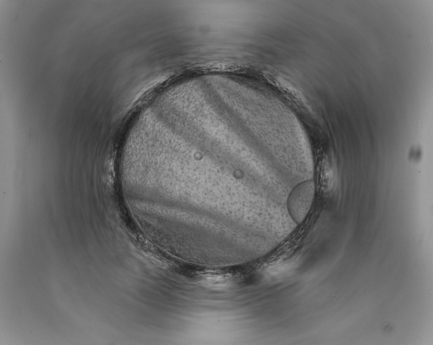 X0000089940746200707271818