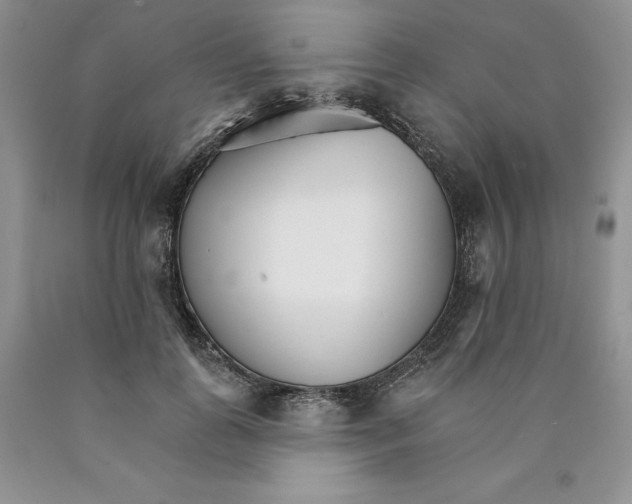 X0000089940747200707271818