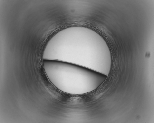 X0000089940748200707271818