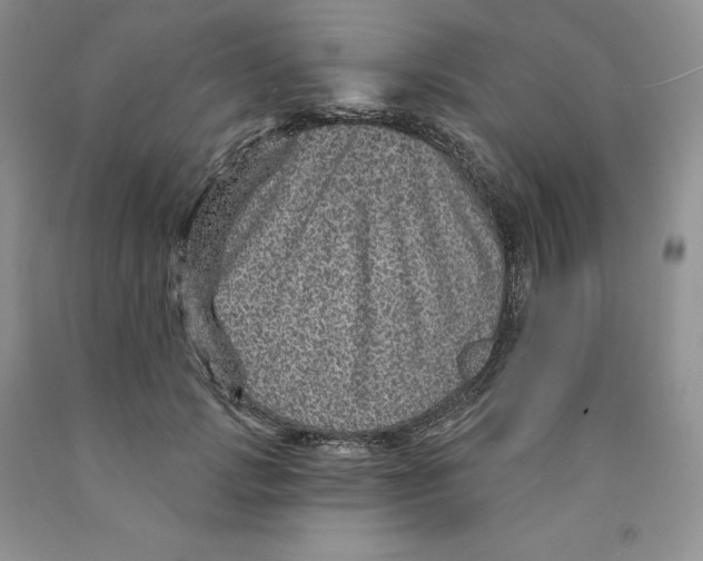 X0000089940749200707271818