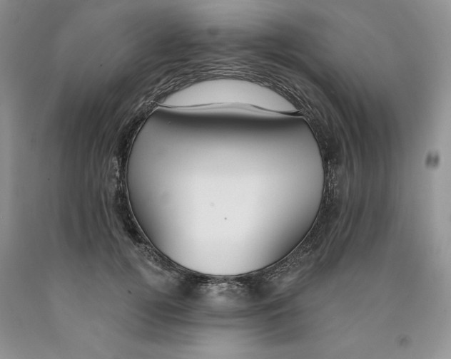 X0000089940752200707271818