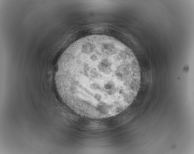 X0000089940753200707271818