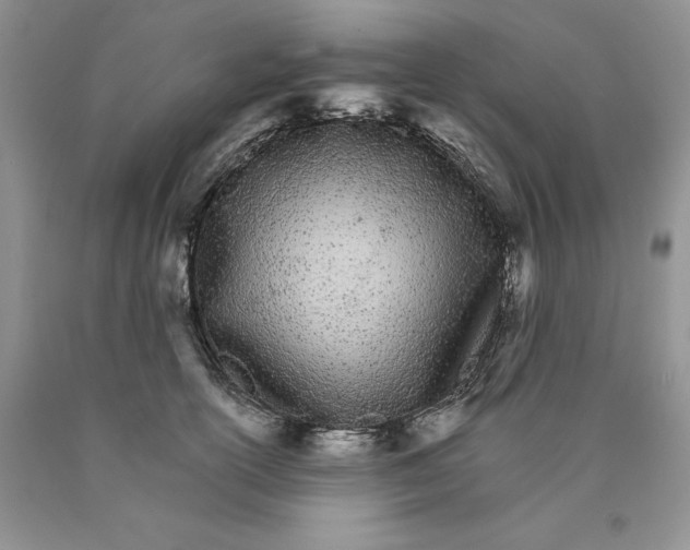 X0000089940754200707271818