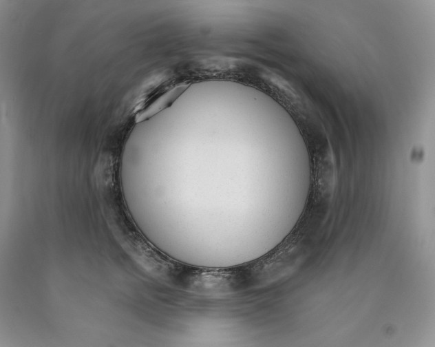 X0000089940758200707271818
