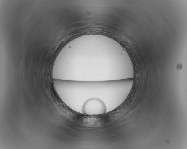 X0000089940759200707271818