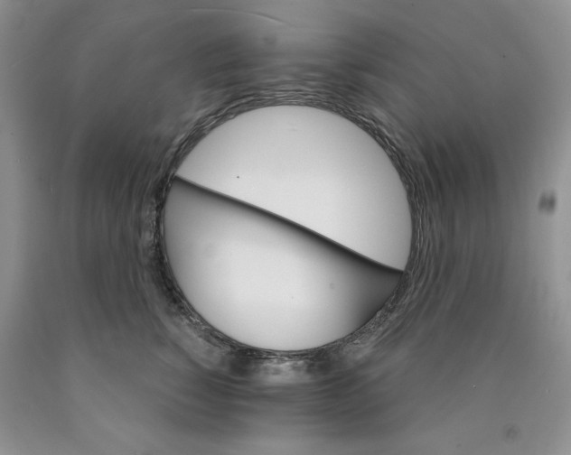 X0000089940760200707271818