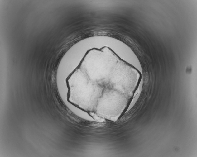 X0000089940761200707271818