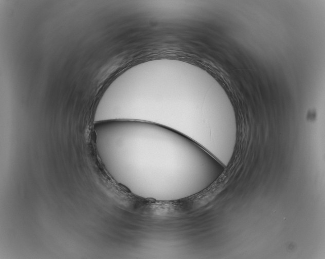 X0000089940762200707271818