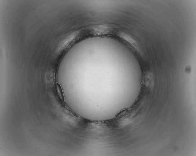 X0000089940763200707271818