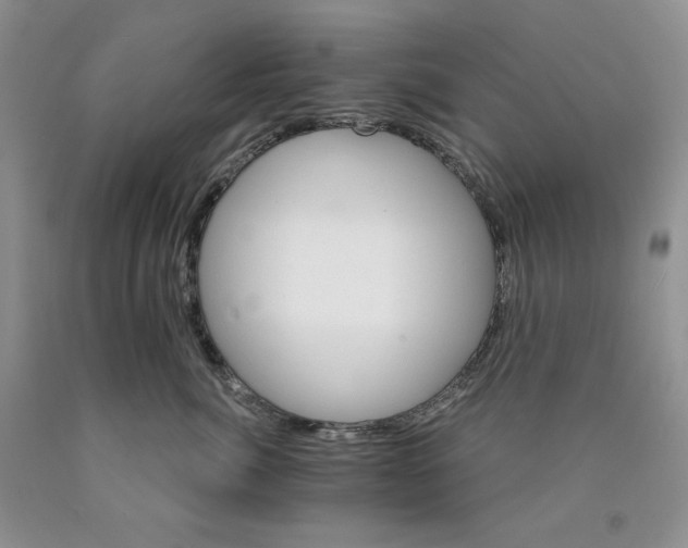 X0000089940764200707271818