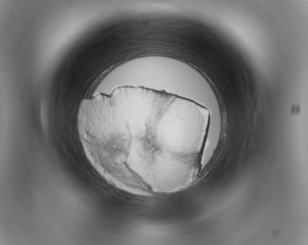 X0000089940765200707271818