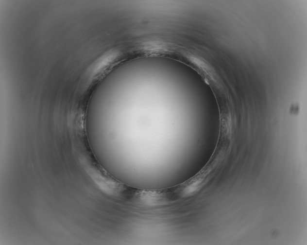 X0000089940766200707271818