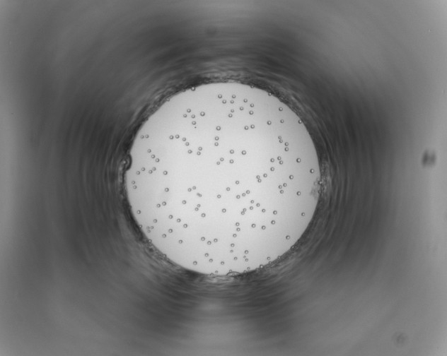 X0000089940767200707271818