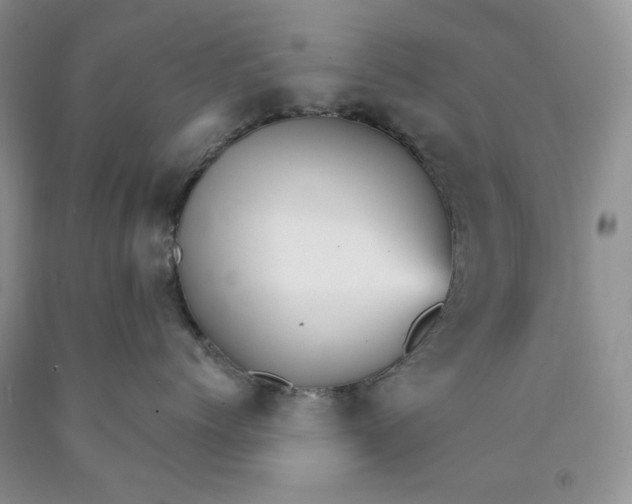 X0000089940768200707271818