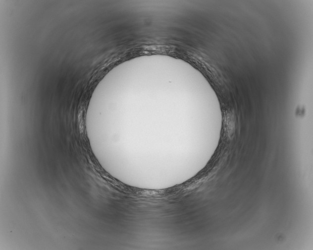 X0000089940770200707271817