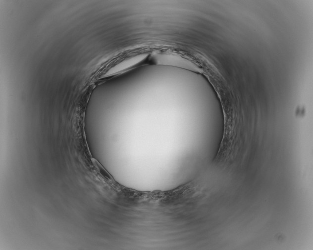 X0000089940773200707271817