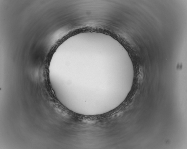 X0000089940776200707271817