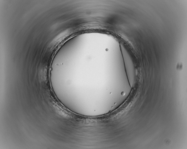 X0000089940777200707271817