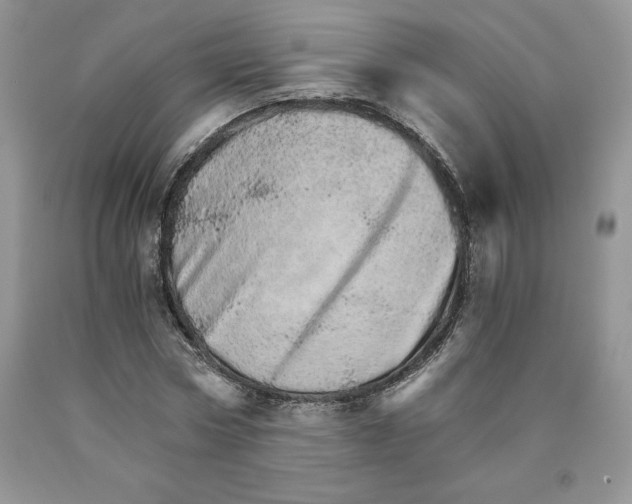 X0000089940778200707271817
