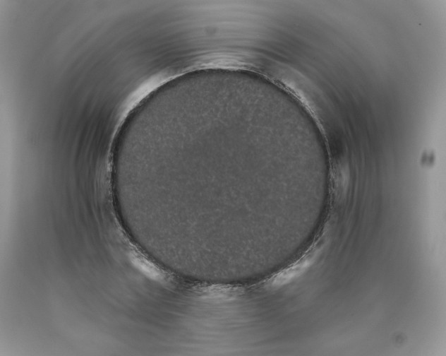 X0000089940779200707271817