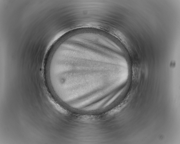 X0000089940780200707271817