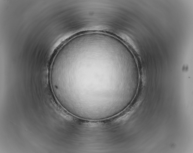 X0000089940781200707271817