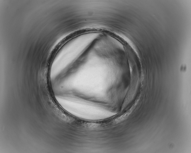X0000089940783200707271817