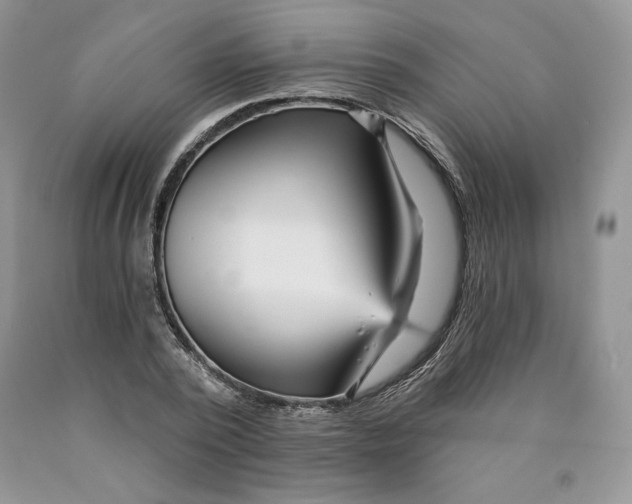 X0000089940784200707271817