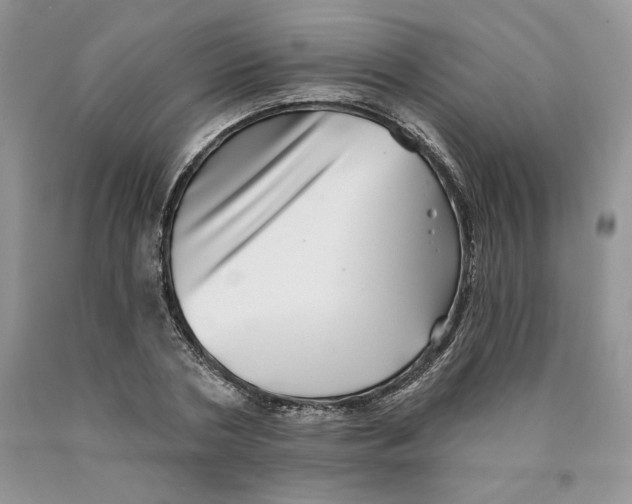 X0000089940786200707271817