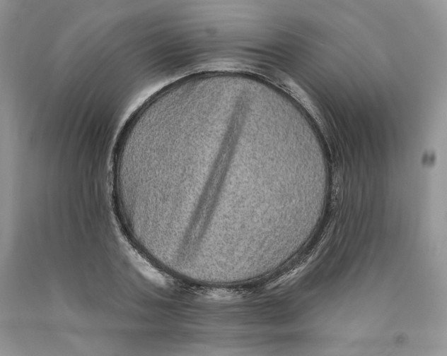X0000089940787200707271817