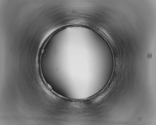 X0000089940788200707271817