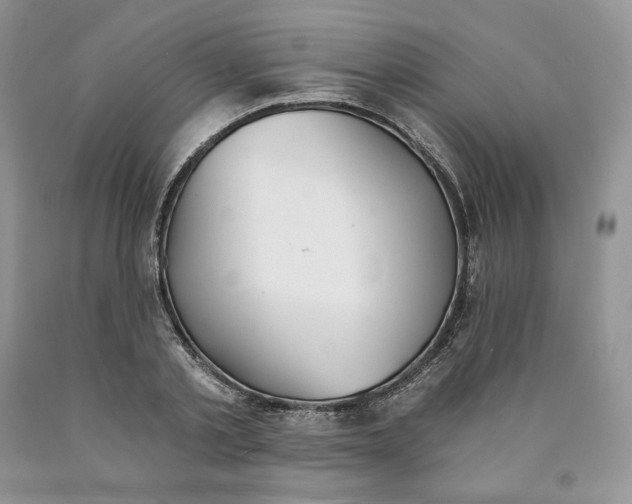 X0000089940789200707271817