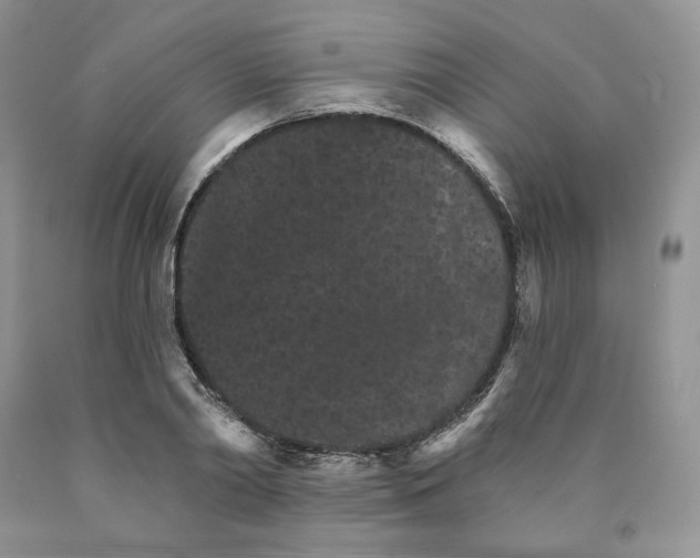 X0000089940790200707271817