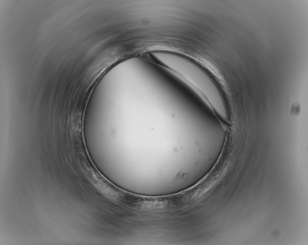 X0000089940793200707271817