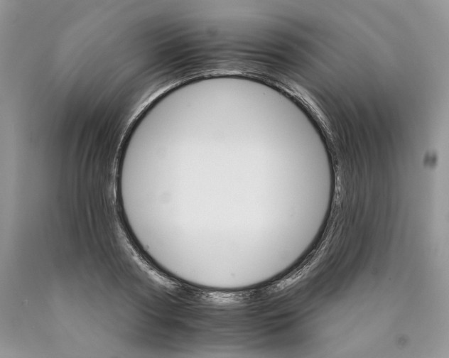 X0000089940794200707271817