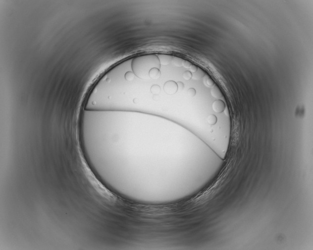 X0000089940795200707271817