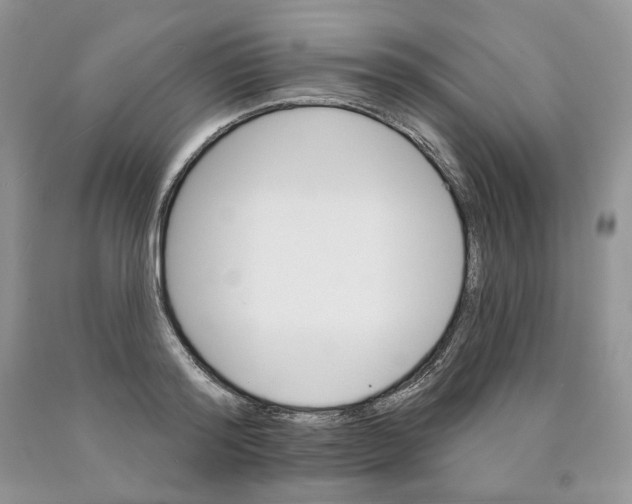 X0000089940796200707271817