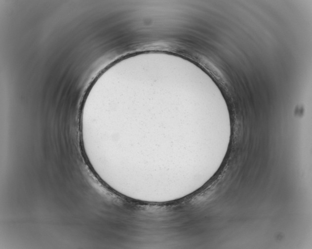 X0000089940800200707271817