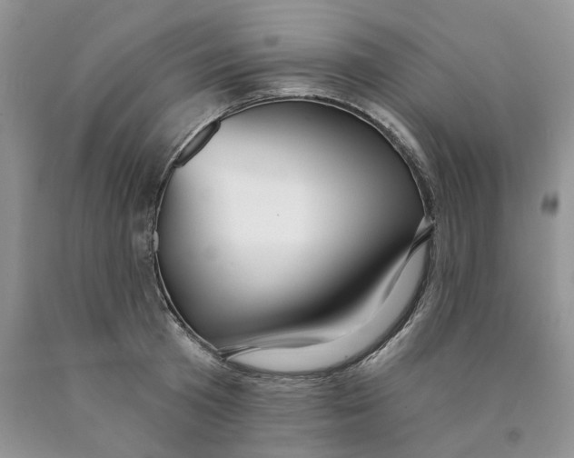 X0000089940801200707271817
