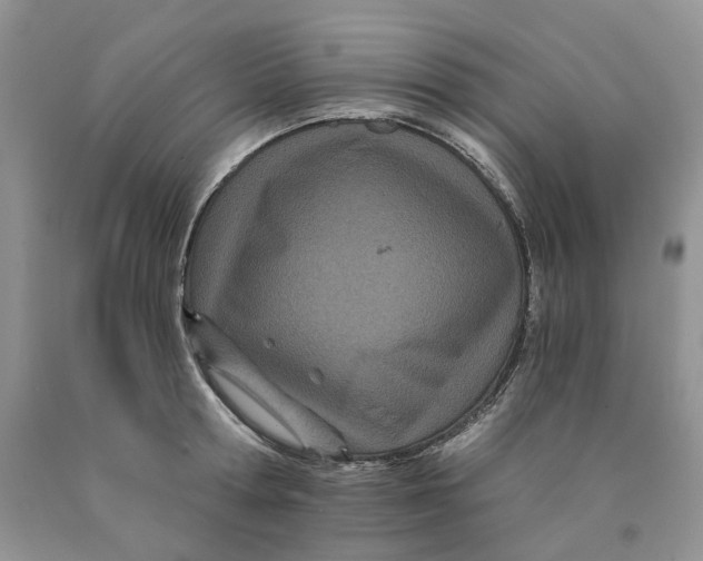 X0000089940802200707271817