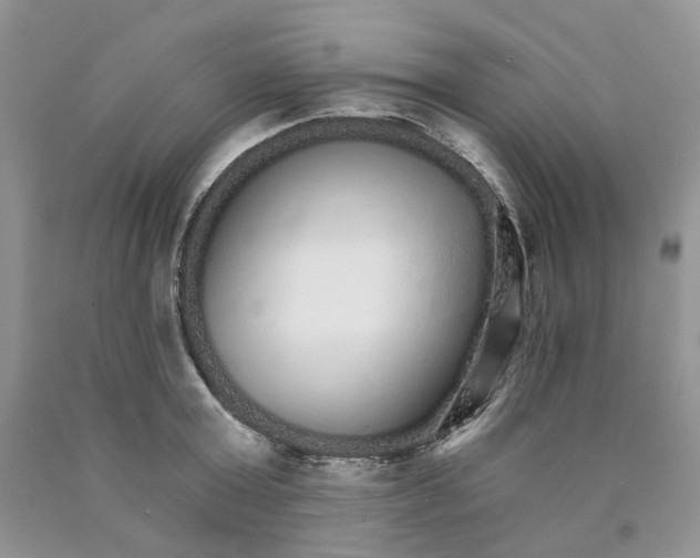 X0000089940803200707271817