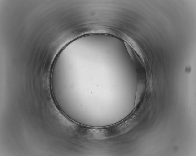X0000089940805200707271817