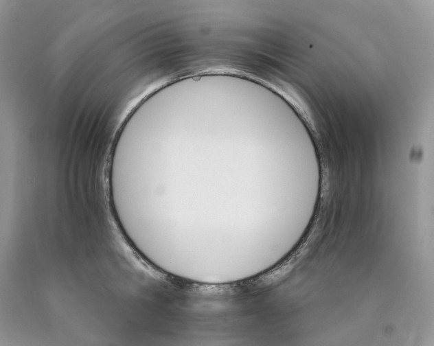 X0000089940806200707271817