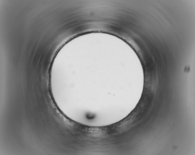 X0000089940807200707271817