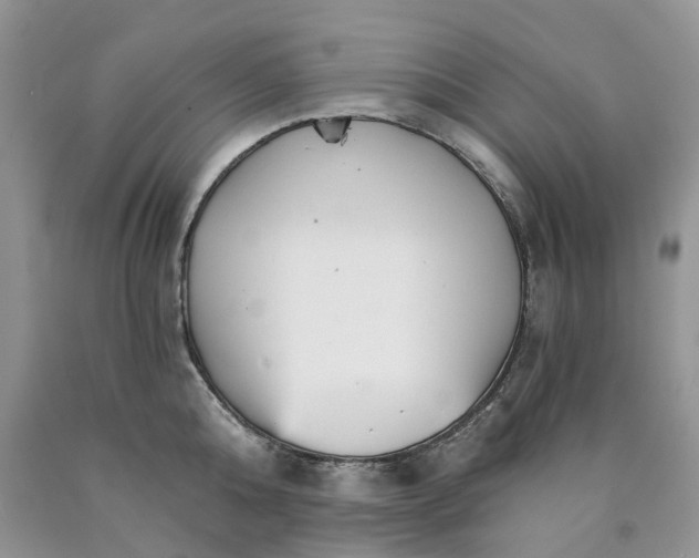 X0000089940808200707271817