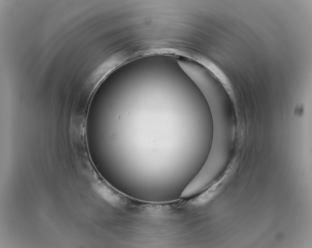 X0000089940809200707271817
