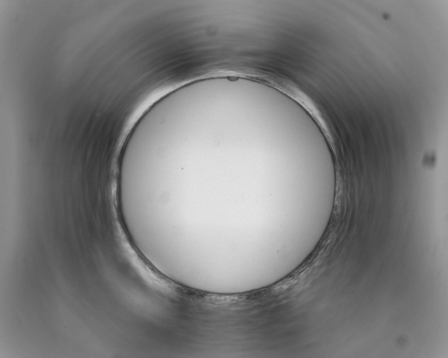 X0000089940811200707271817