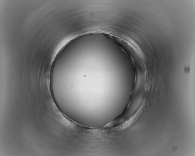 X0000089940812200707271817