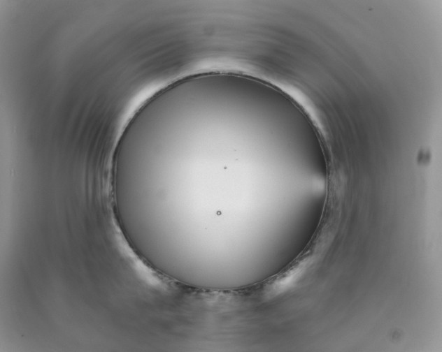 X0000089940815200707271817